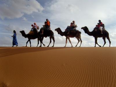 Camel Trek