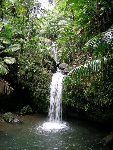 El Yunque