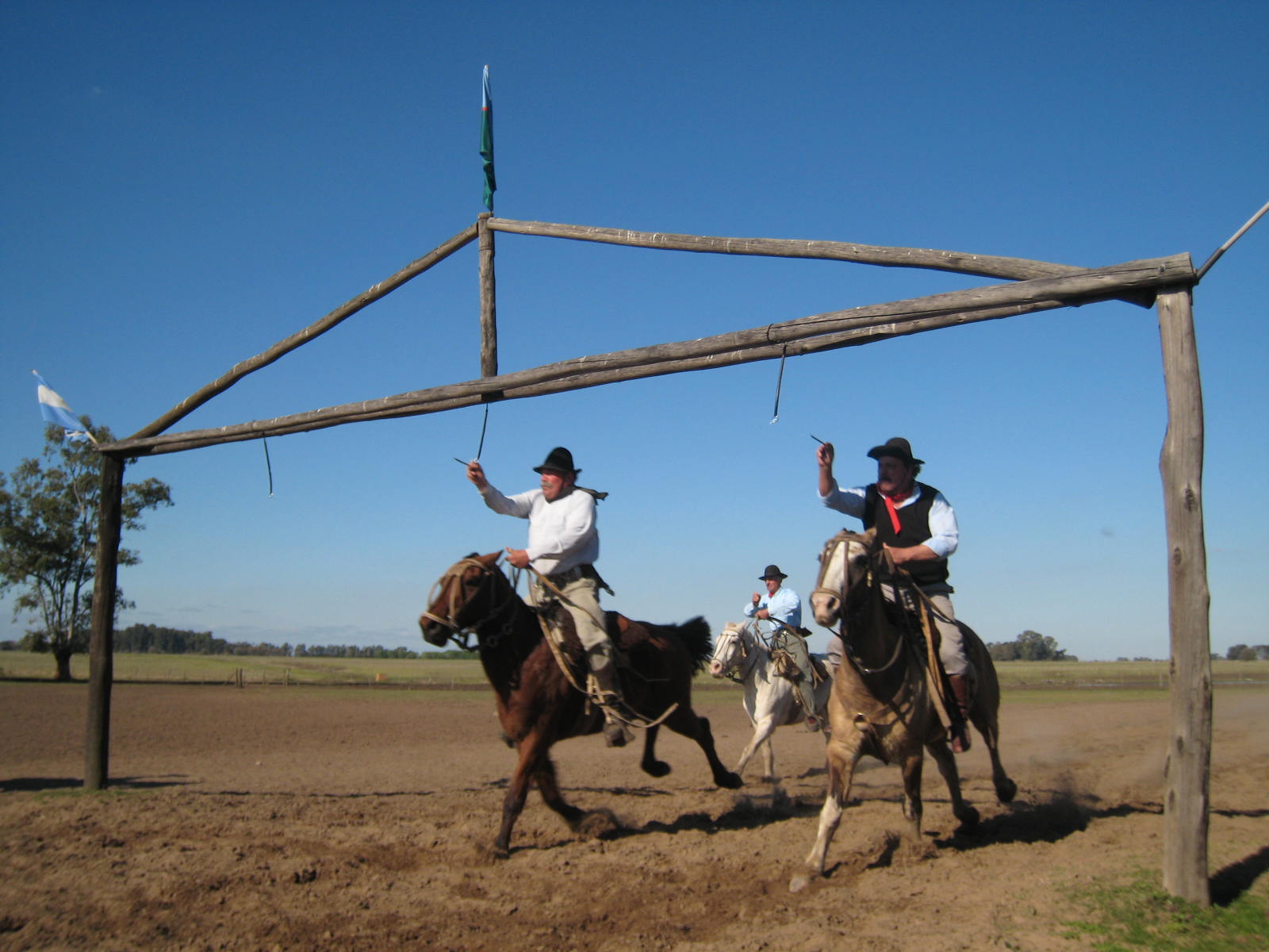 Gauchos