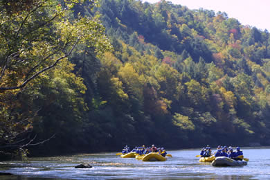 Rafting